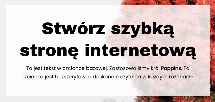 czcionki google fonts archivo i poppins