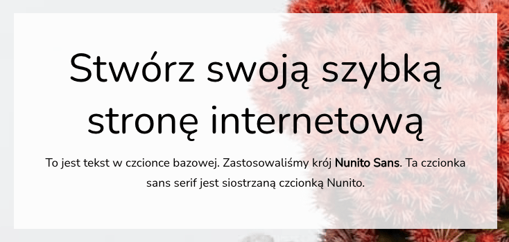 czcionki google fonts nunito i nunito sans