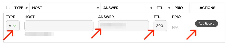 rekord A panel name com rekordy DNS