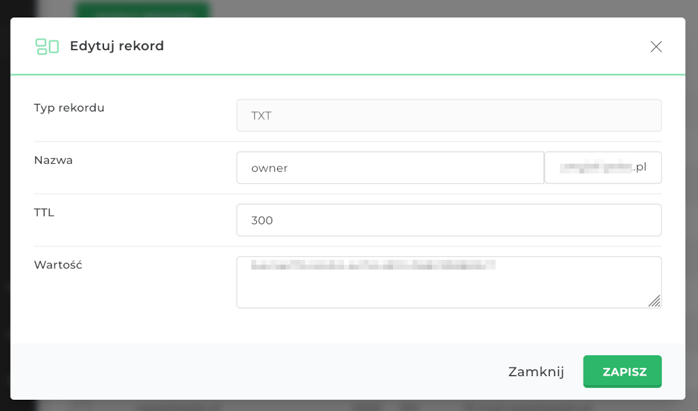 konfiguracja rekordu TXT w Seohost
