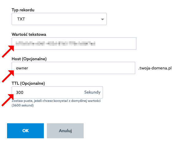 rekord TXT strefa DNS HOME