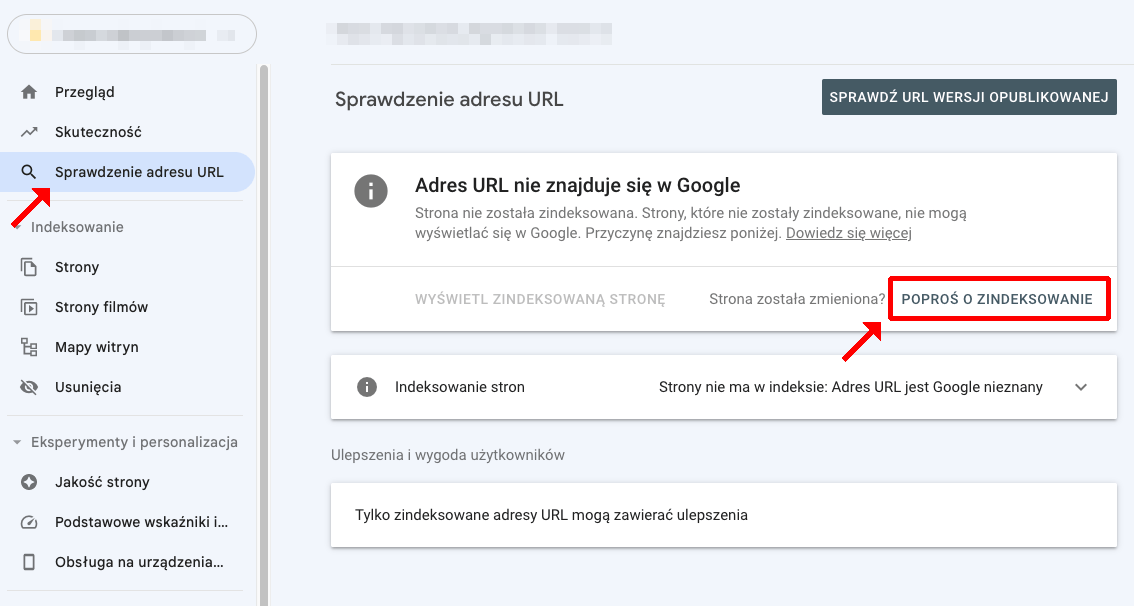 indeksacja adresu domeny