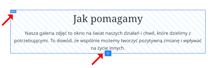 dodawanie nowego elementu do sekcji