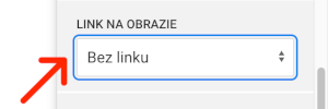obraz bez linku