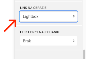 link do lightbox