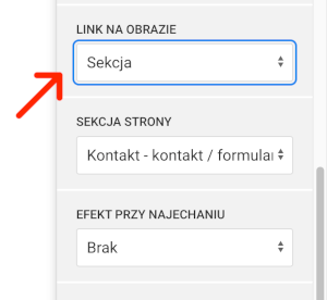 link do sekcji