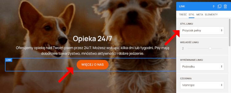 przycisk pełny styl linku