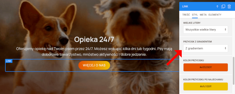 przycisk pełny z gradientem