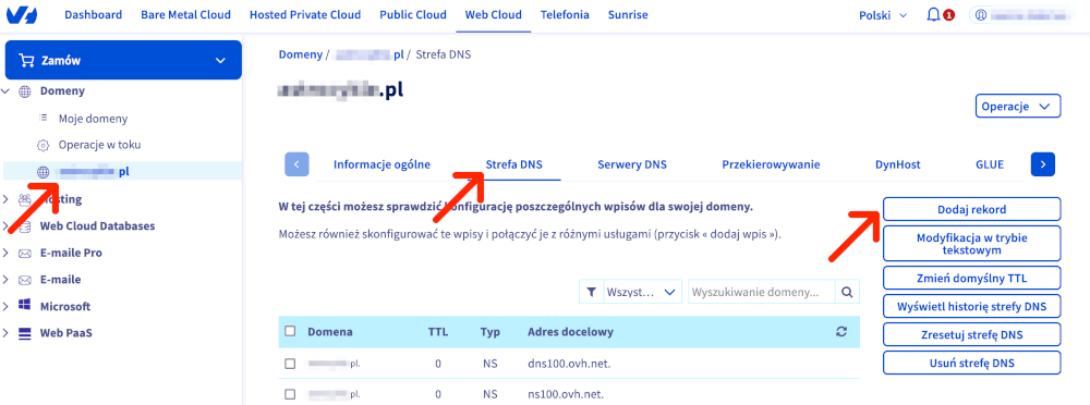 strefa DNS rekordy dla domeny OVH