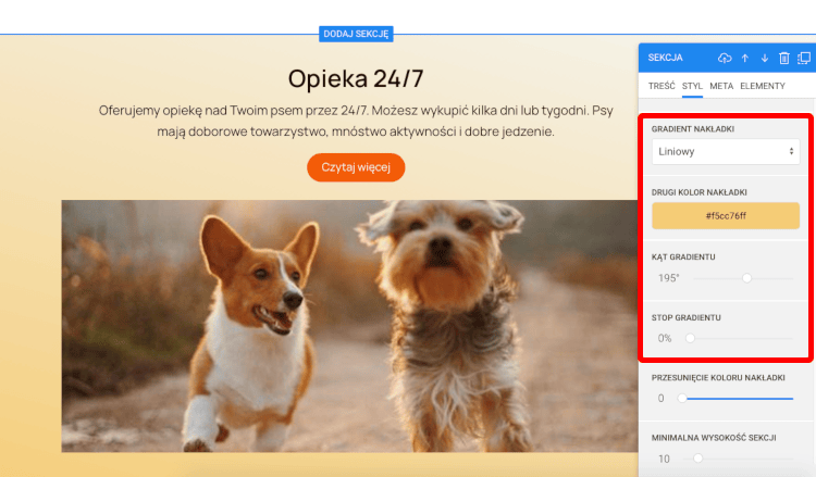gradient w tle sekcji
