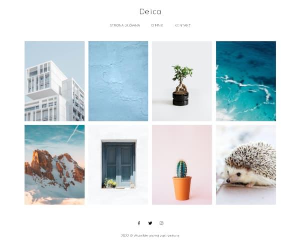 szablon strony galeria