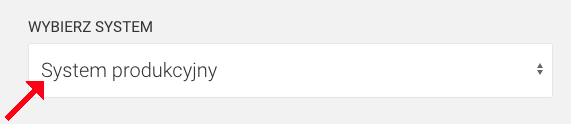 system produkcyjny