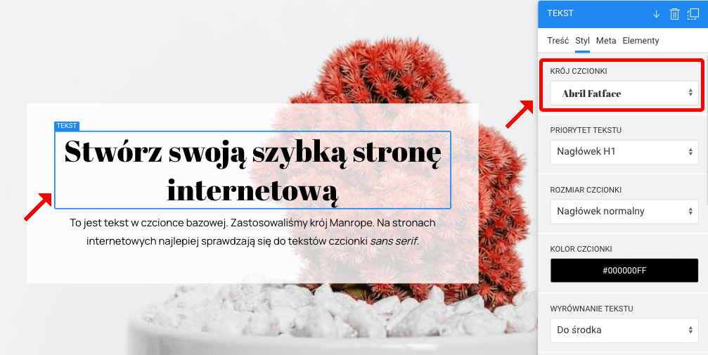 ustawienia czcionki wybór czcionki na stronę