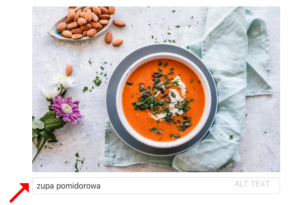 alt tekst dla zdjęcia we wpisie