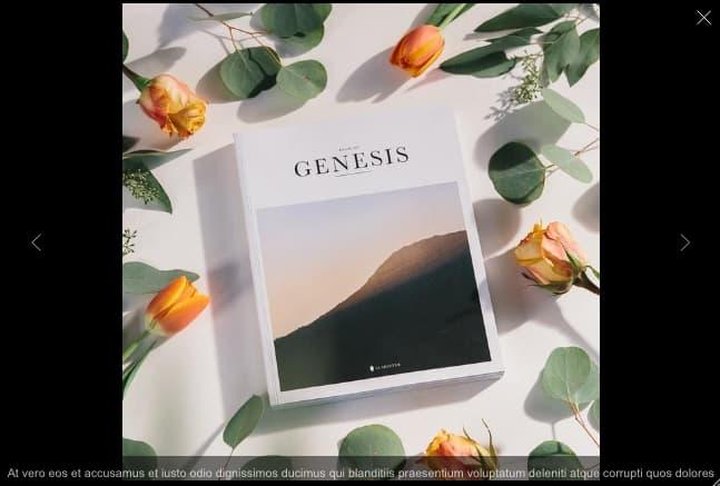 Lightbox na zdjęciu