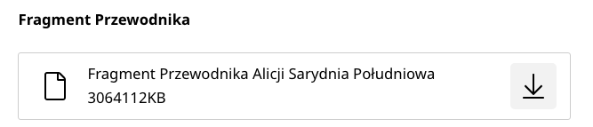 załącznik na stronie internetowej